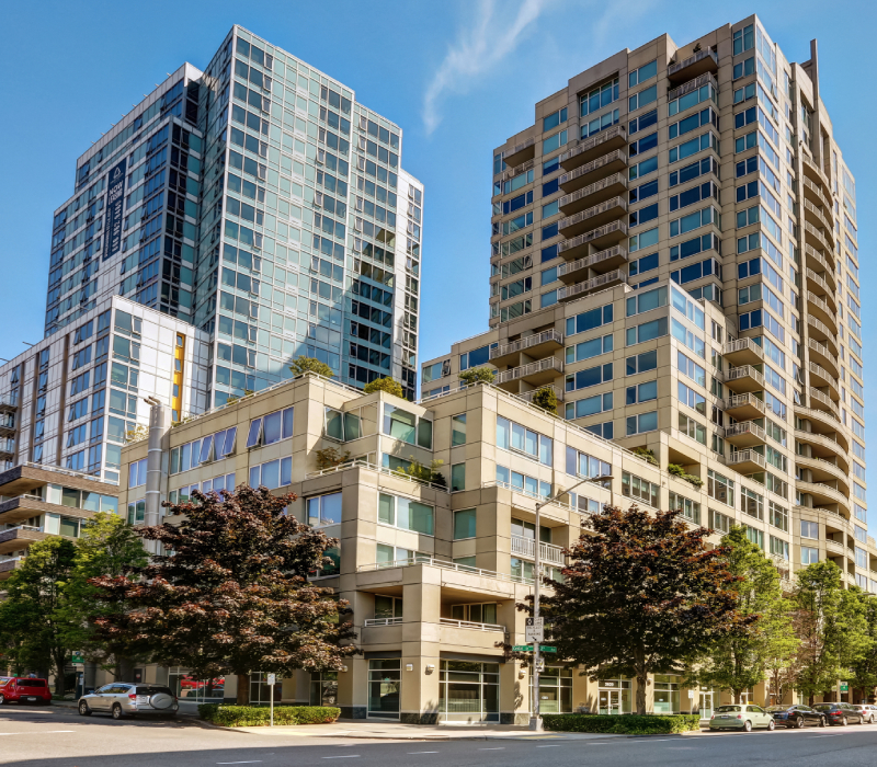 Specialize Grow Up Business